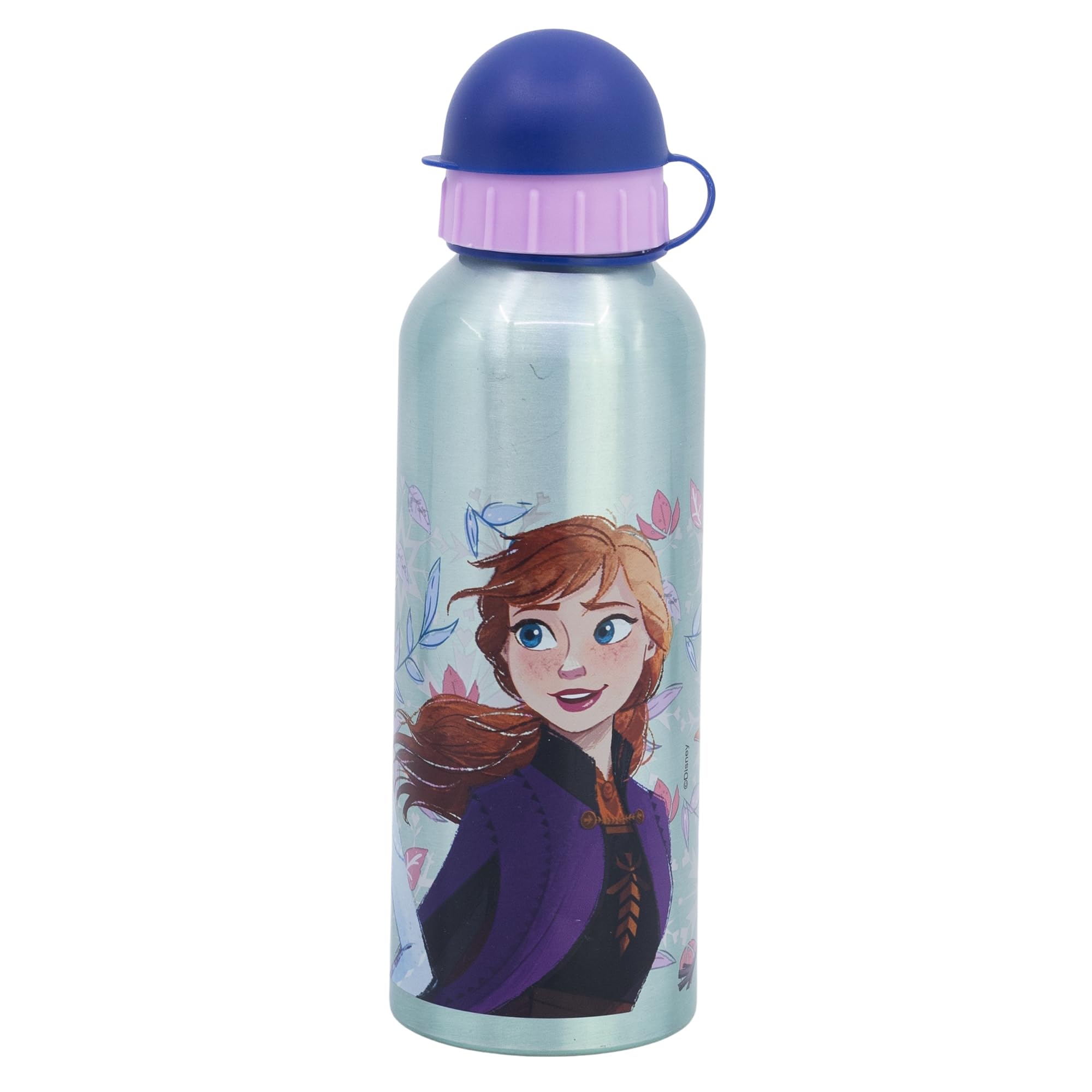 STOR Frozen Kids Aluminium Water Bottle 530ml with Anti-Drip Spout and Safety Cap Reusable for School Sports Children — image 1