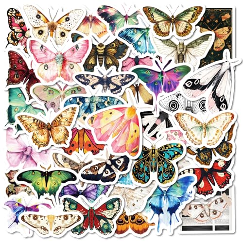 gV[50AqNlAꗎhrj[V[obOrAm[gp\RAM^[XP[g{[hAוAgѓdb ()