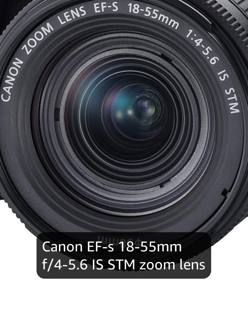 Canon EOS 250D + Canon EF-s 18-55mm f/4-5.6 IS STM Lens - Black
