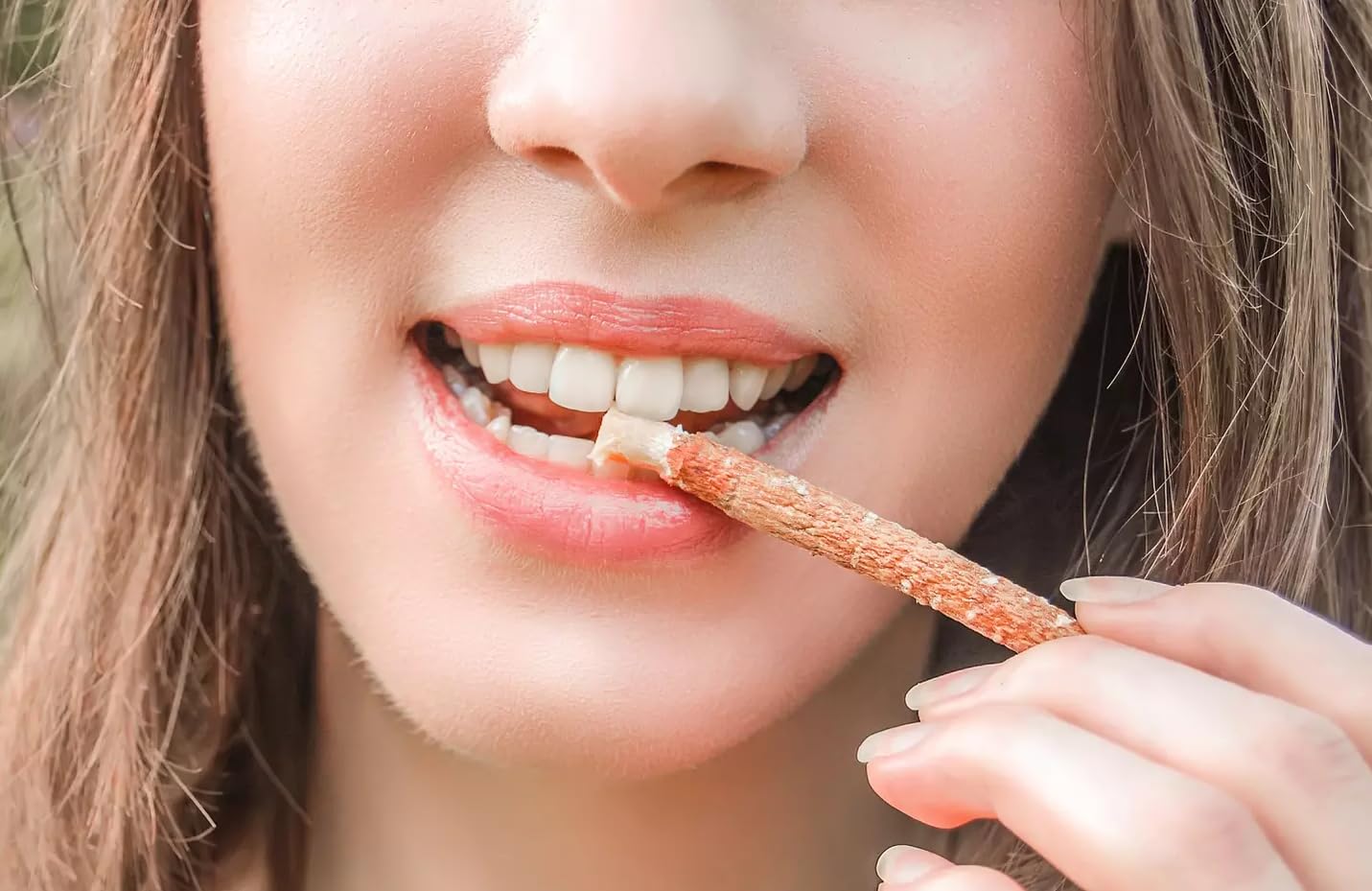 5 patyczków Siwaka - Ekologiczna naturalna szczoteczka do zębów Miswak - Ziołowa Siwak - Tradycyjna pielęgnacja jamy ustnej i wybielanie zębów - 100% naturalna - TazarinLtd