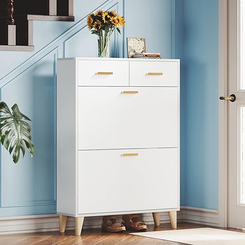 GLAUBIO Armario de almacenamiento de zapatos, armario de almacenamiento de zapatos de 2 niveles con puertas abatibles, organizador de 20 pares con