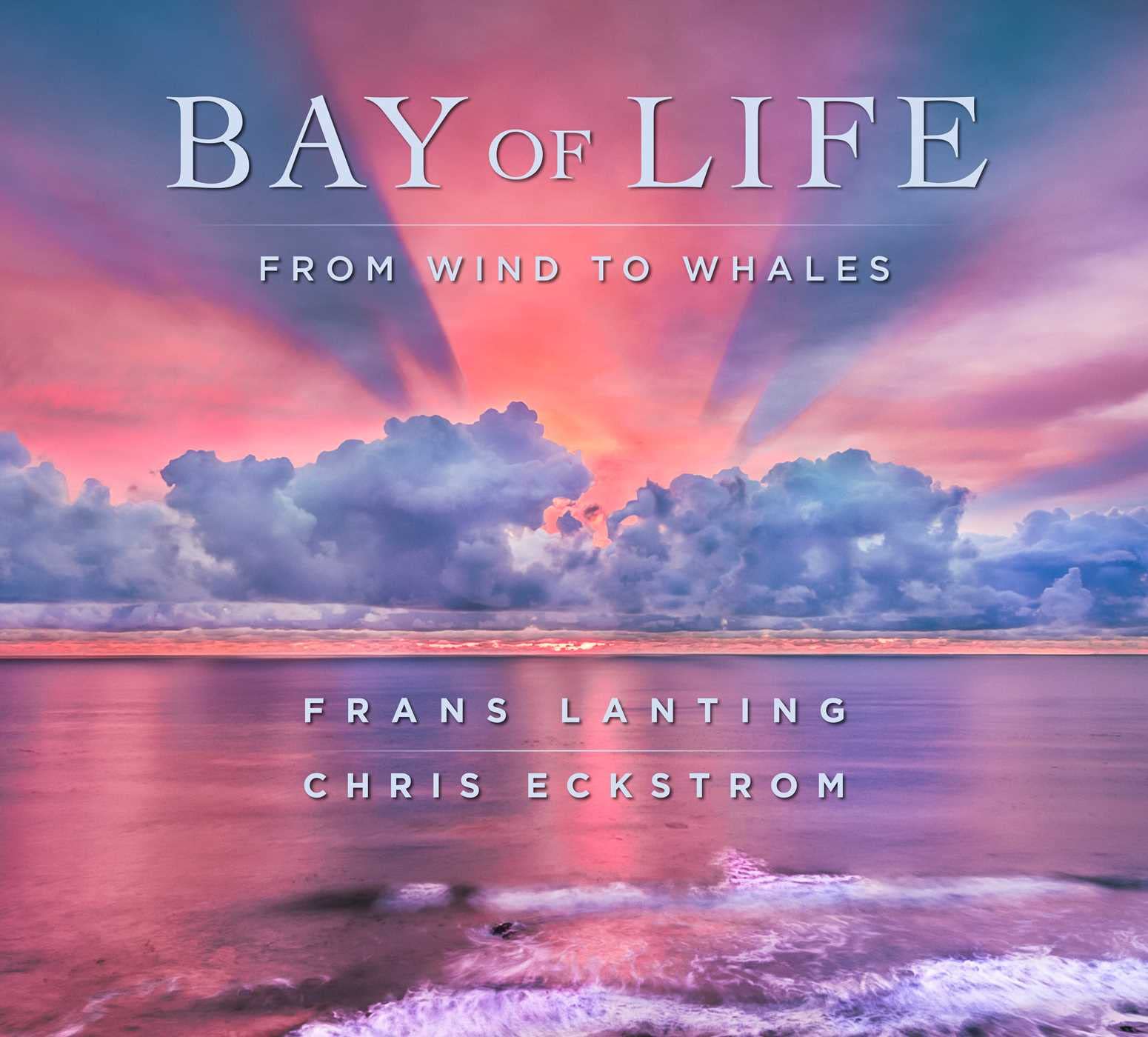 Bay of Life: From Wind to Whales