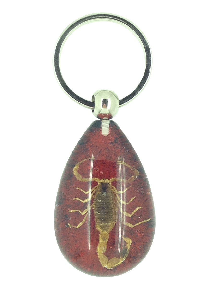 Luck Trader Real Scorpion Red and Black Resin Keyring