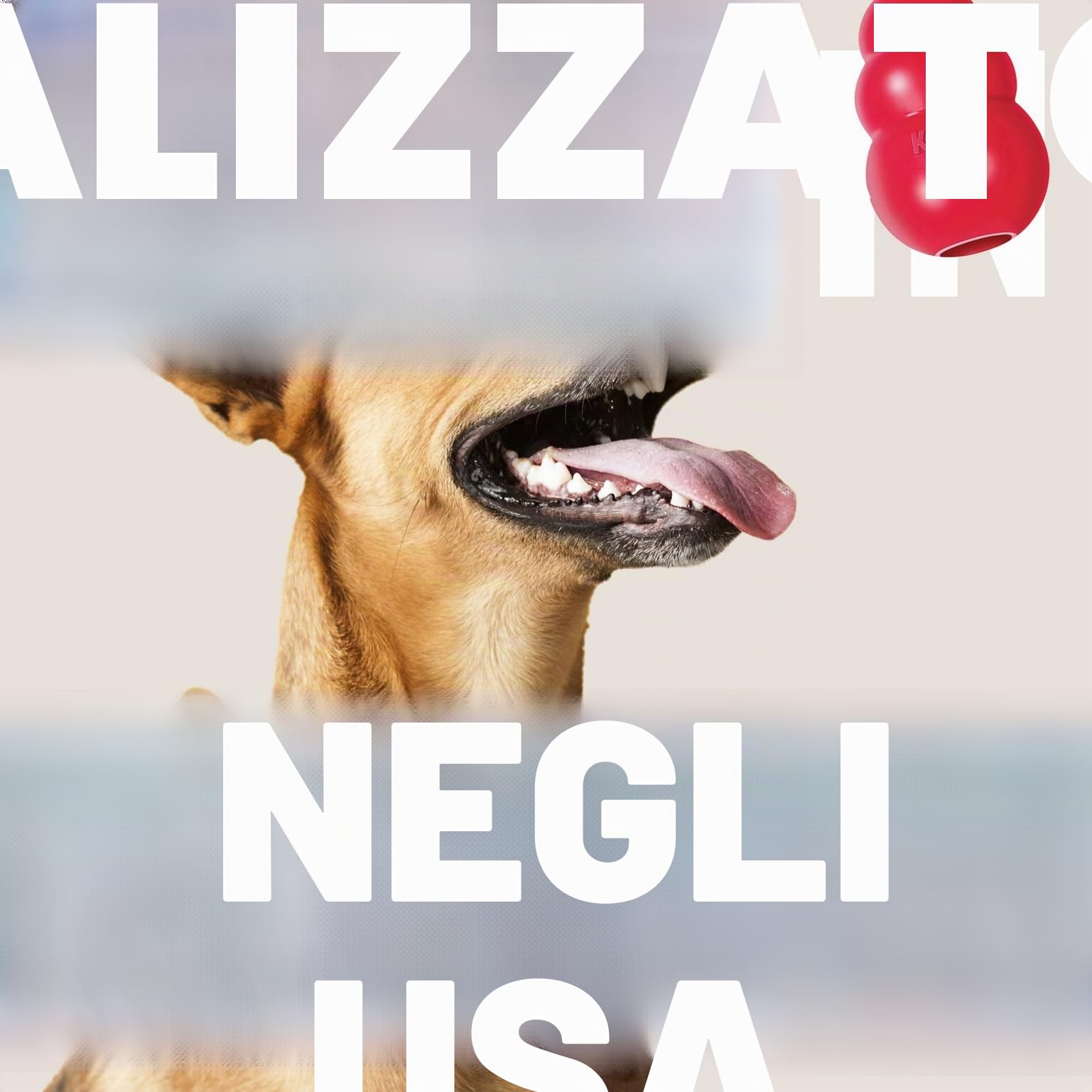 KONG Ring Giocattolo Da Masticare Per Cani Gomma Naturale Resistente Salute Dentale Taglia Media Piccola