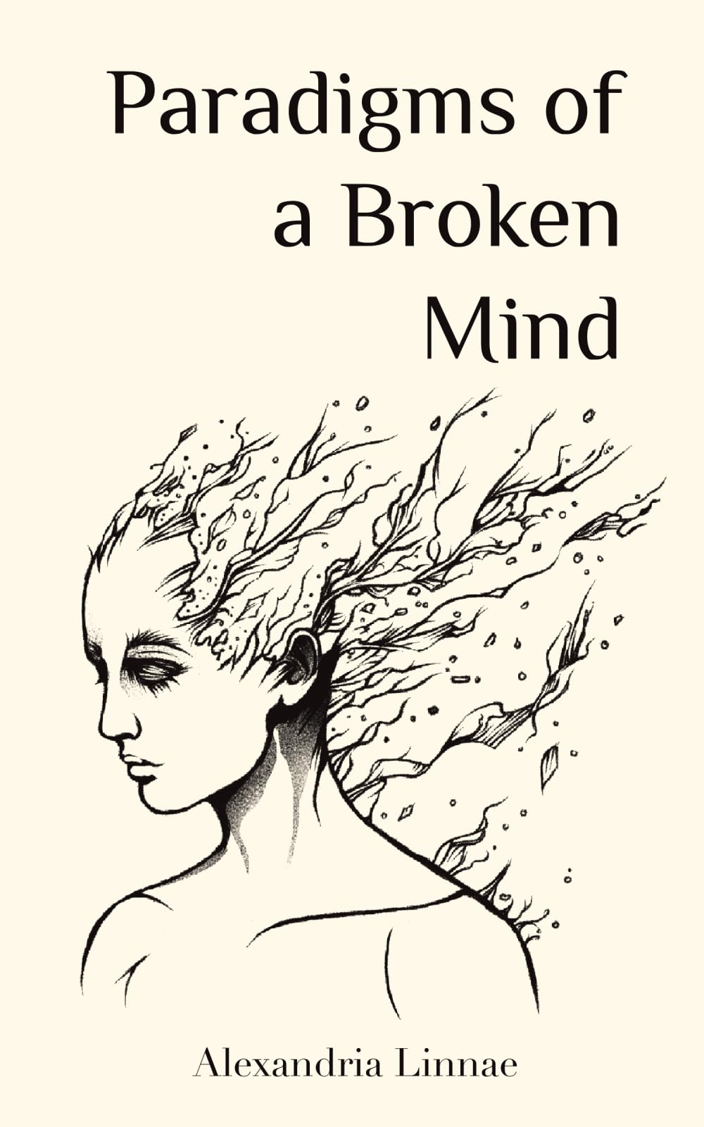 Paradigms of a Broken Mind