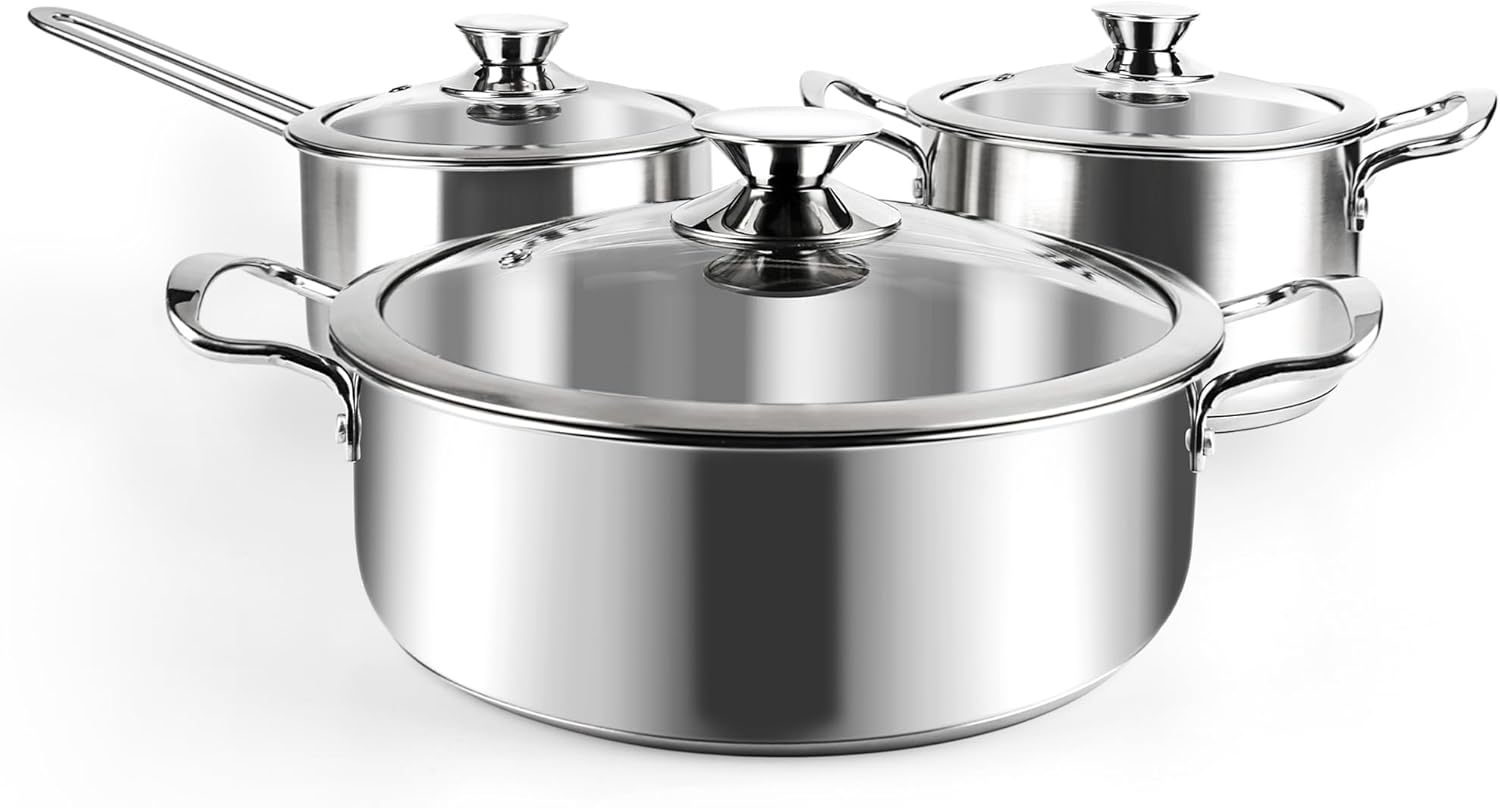 6-Piece Stainless Steel Induction Cookware Set with Glass Lids