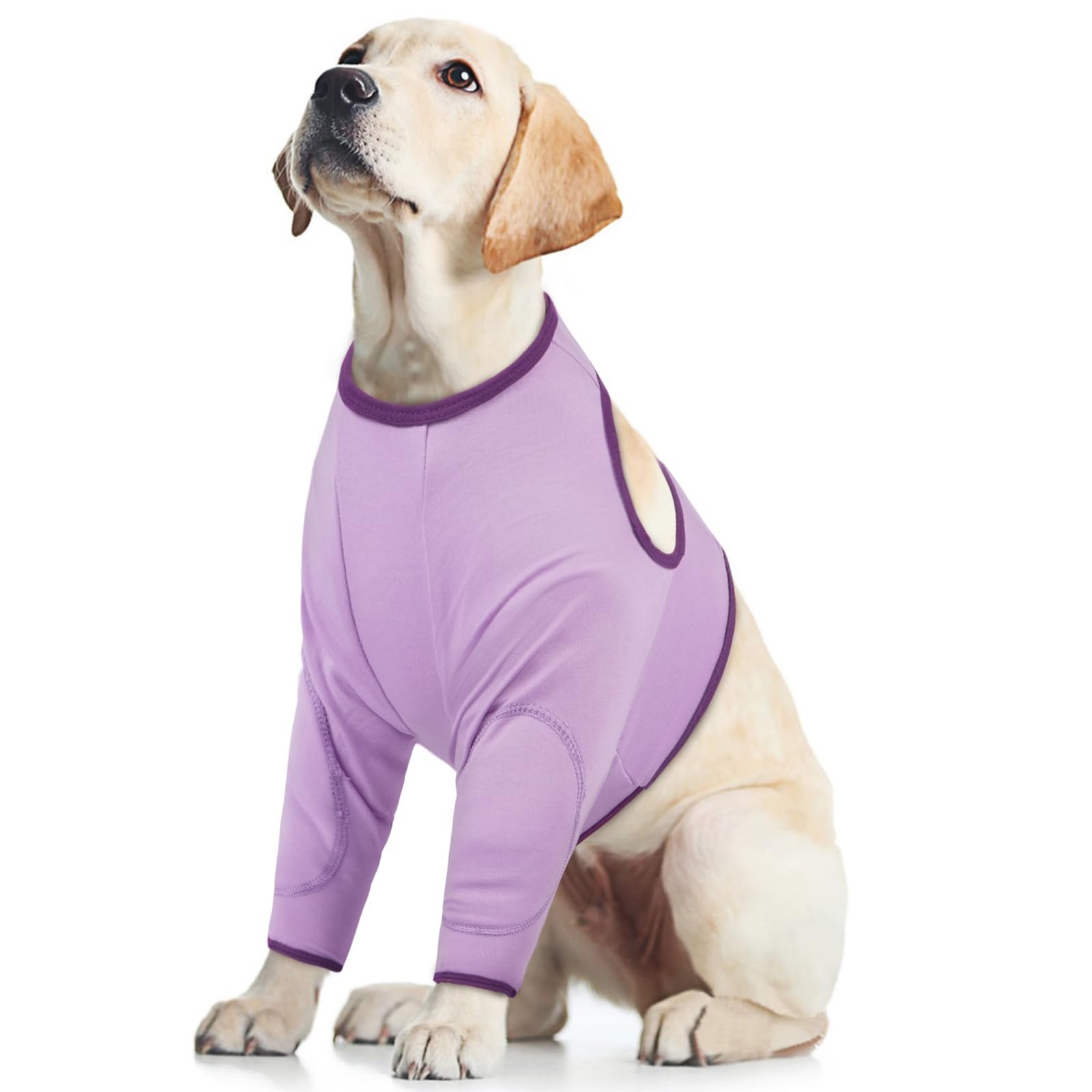 Vorderbeinschutz Hund, Ellenbogenschoner Hund Body Sleeve Vorderbeine Fördern Sie Die Heilung(Lila, L)