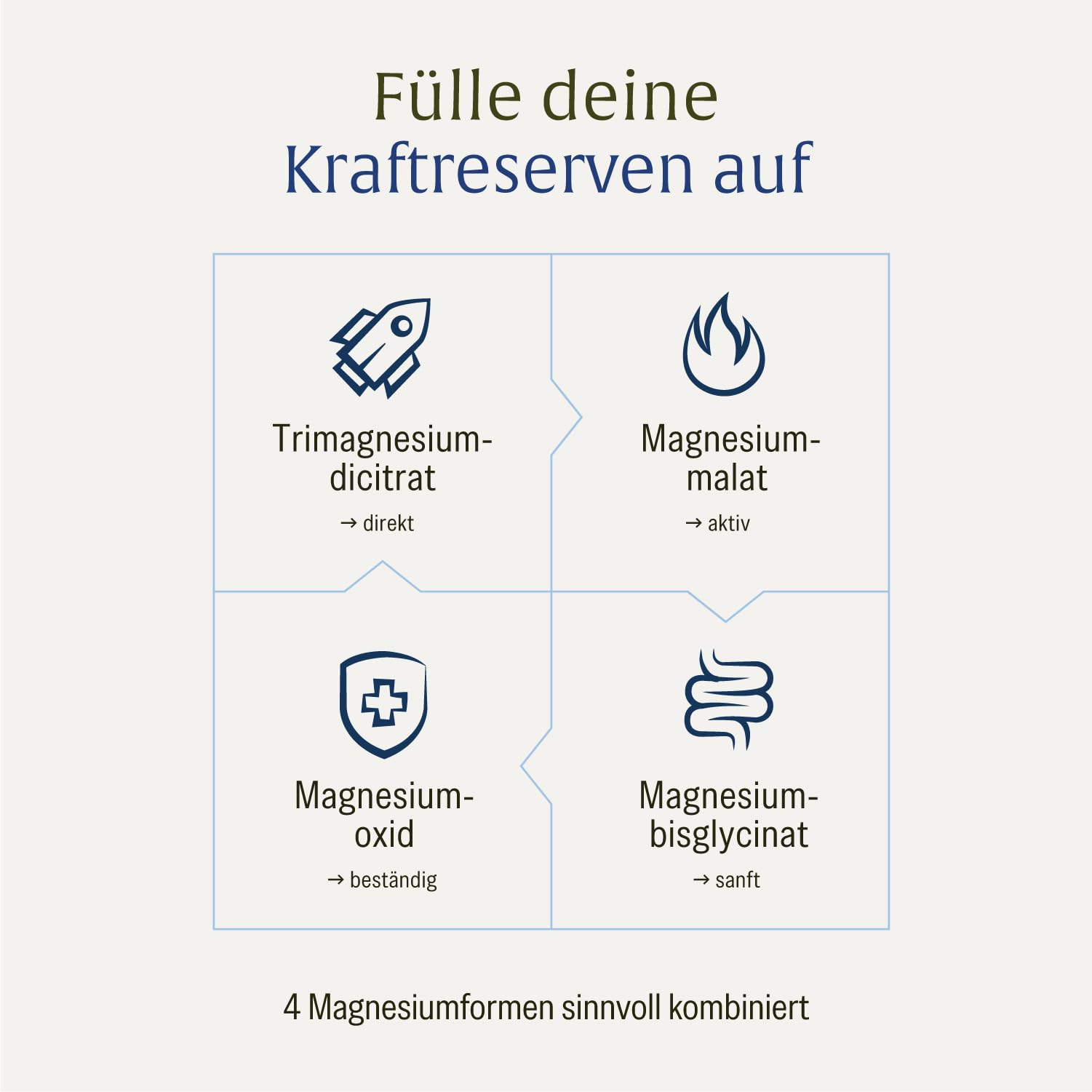 NATURTREU® Magnesium Komplex hochdosiert - Komplex mit: Magnesiumcitrat, Bisglycinat, Magnesium Malat und Magnesiumoxid - Vegan - 180 Kapseln