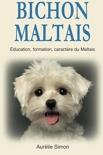 Bichon Maltais: Education, Formation, Caractère du Maltais
