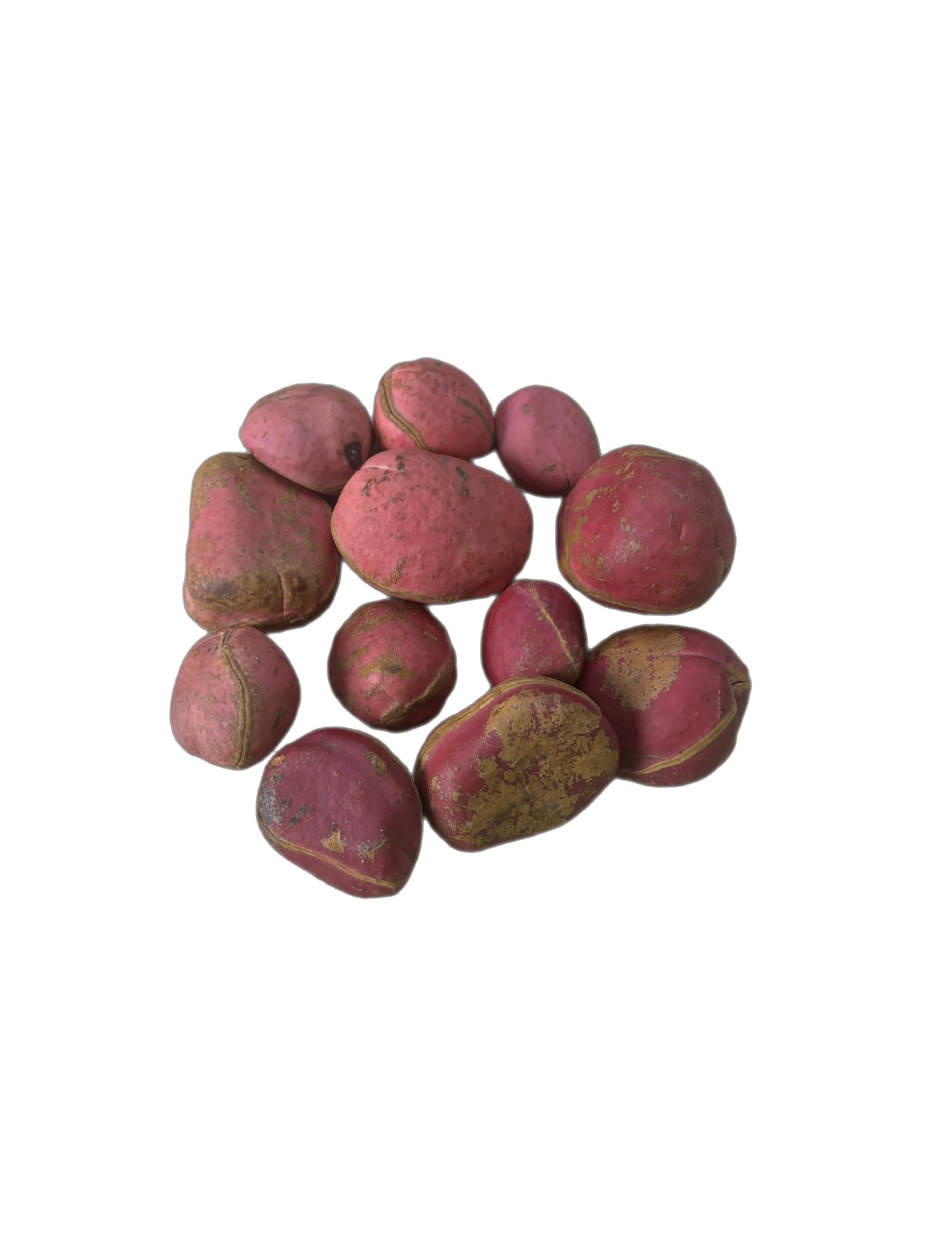Nueces de Cola orgánicas de Costa de Marfil, formato pequeño, bolsa con cremallera 100 g