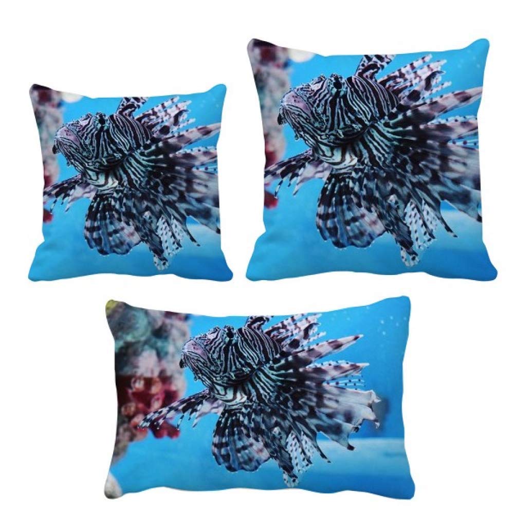 Housse de coussin organisme marin pour rénover un salon usé avec style océan