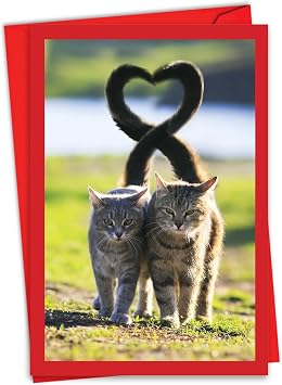 The Best Card Company - Happy Valentines Day Greeting Card with Envelope - Loving, Heartfelt Notecard for Valentine 1 Card - Loving Animals Cats C3504BVDG