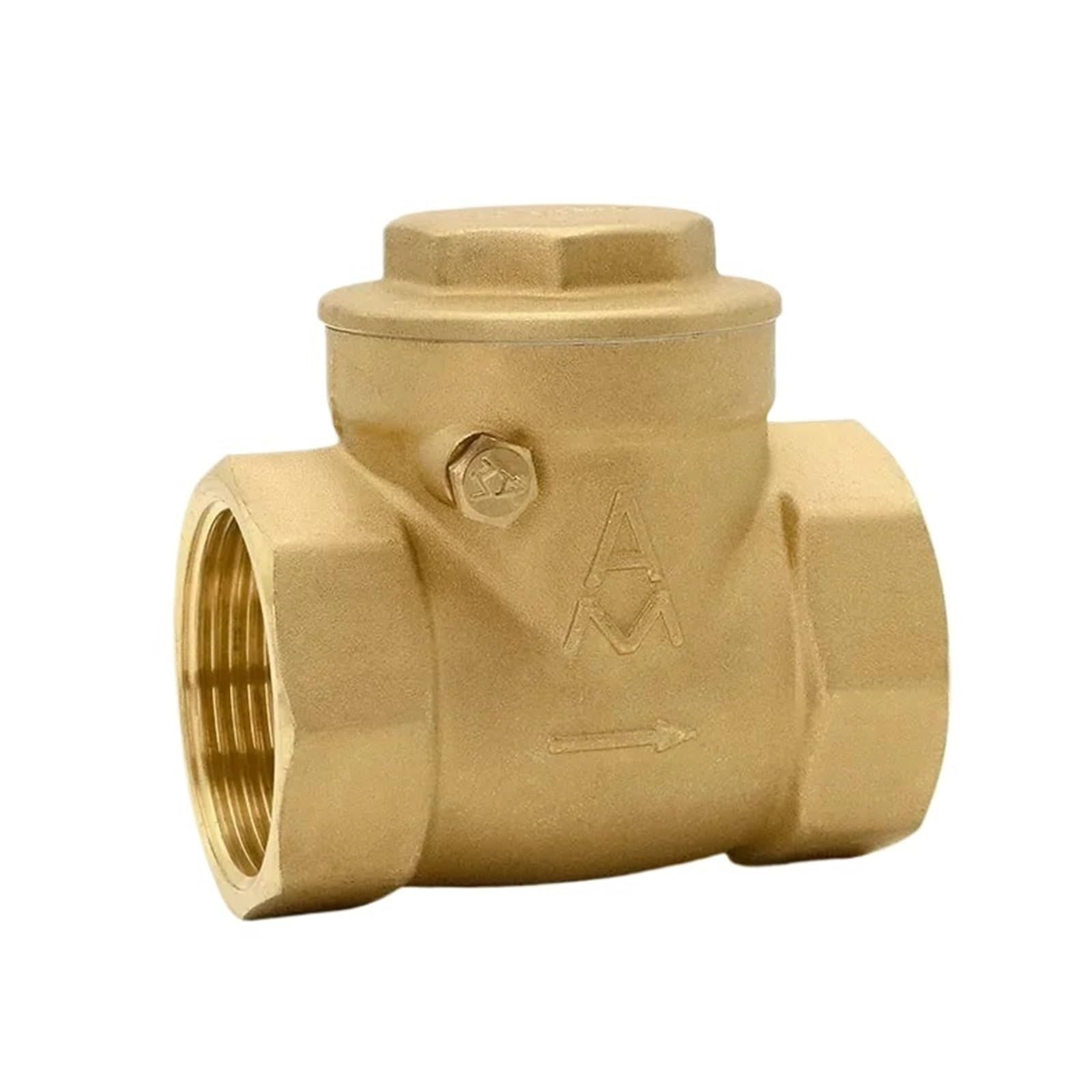 429A Check Valve Brass Horizontal Check Valve Straight Through Anti Backflow(DN100 4 R)
