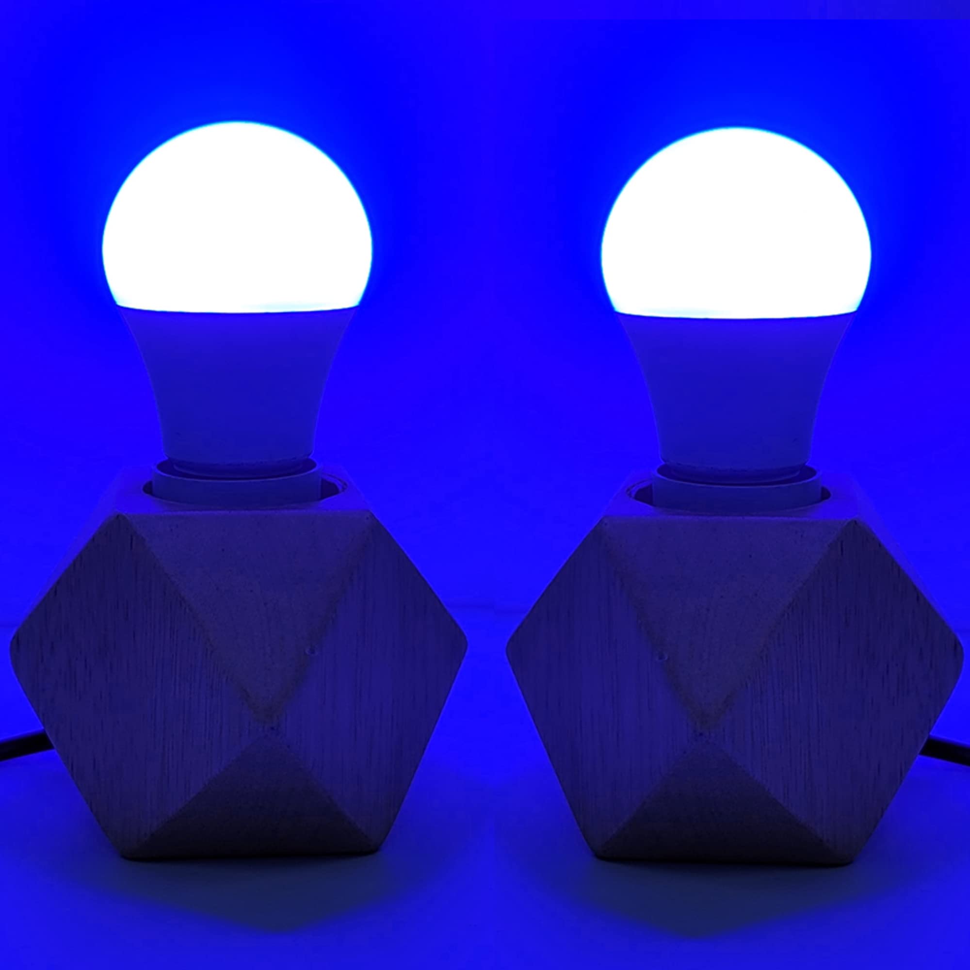 AmeriLuck 2-Pack 5W Colored A19 LED Light Bulb for Porch and Bedroom, Deep Cobalt Blue with Black Light Effect, 40W Equivalent, E26 Medium Scew Base, Waterproof for Outdoor Use