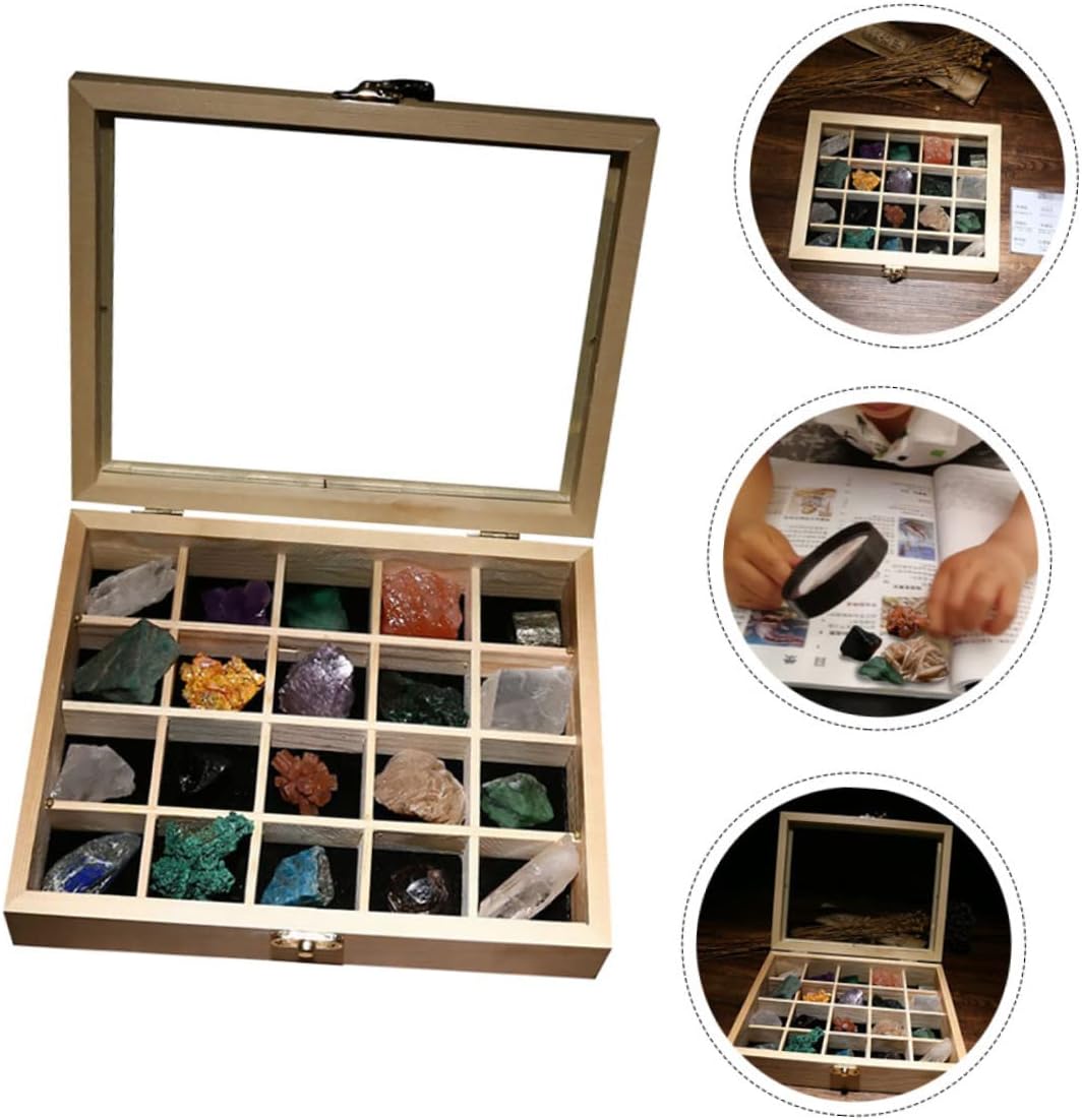 Baluue 20pcs Collection Stones Specimen Rocks and Crystals for Decoration for Friends