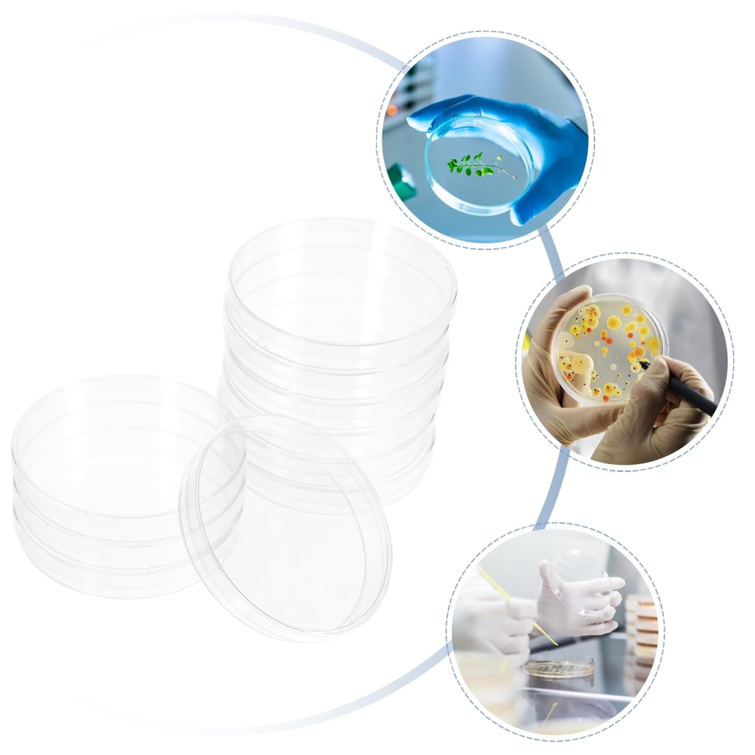 Cabilock 10pcs Cell Culture Plates Round Sterile Petri Dishes Lids for Agar Lab Use Easy to Clean Observe