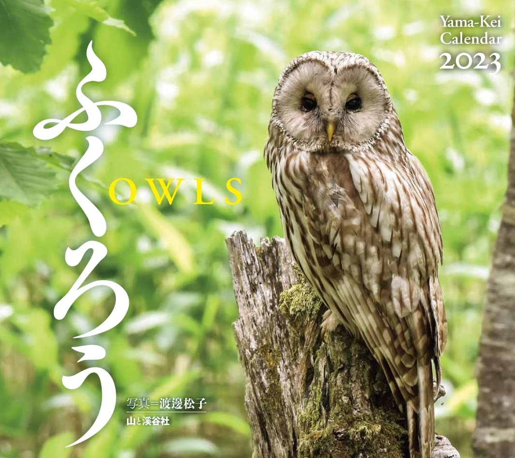 ふくろうページ‼️ fit=scale-down,w=1200