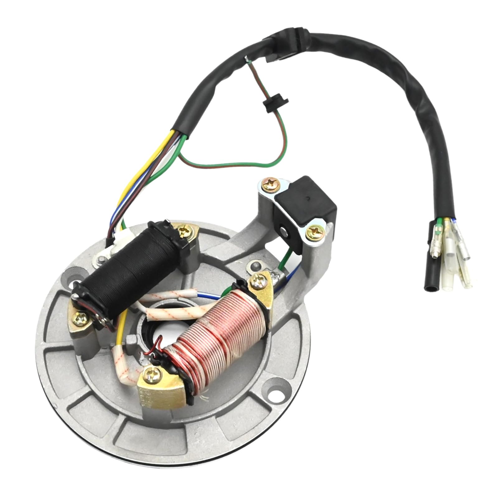 Sponsored Ad – Robust Ignition Coil Stator, Stator Plate Pickup Magneto Ignition Coil Rotor, JH70 Motorcycle Ignition Coil, Fit for 70cc 90cc 110cc 125cc Pit Bike Dirt Bike