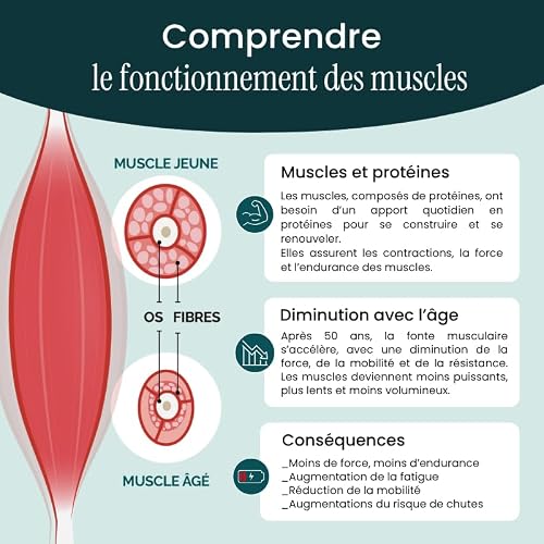 Peptinat proteine végétale I complement alimentaire | Muscles | Os I Peptides de fèves I vitamine d I Poudre | Goût citron I Fabriqué en France I 90g I Laboratoire NaturAvignon – vue 8