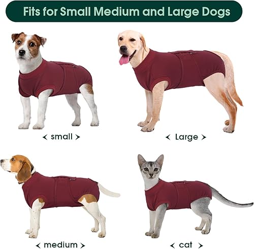 Miniatura 85 de Kuoser Traje de recuperación para perros y gatos después de la cirugía, camisa profesional de recuperación de mascotas, vendajes para heridas
