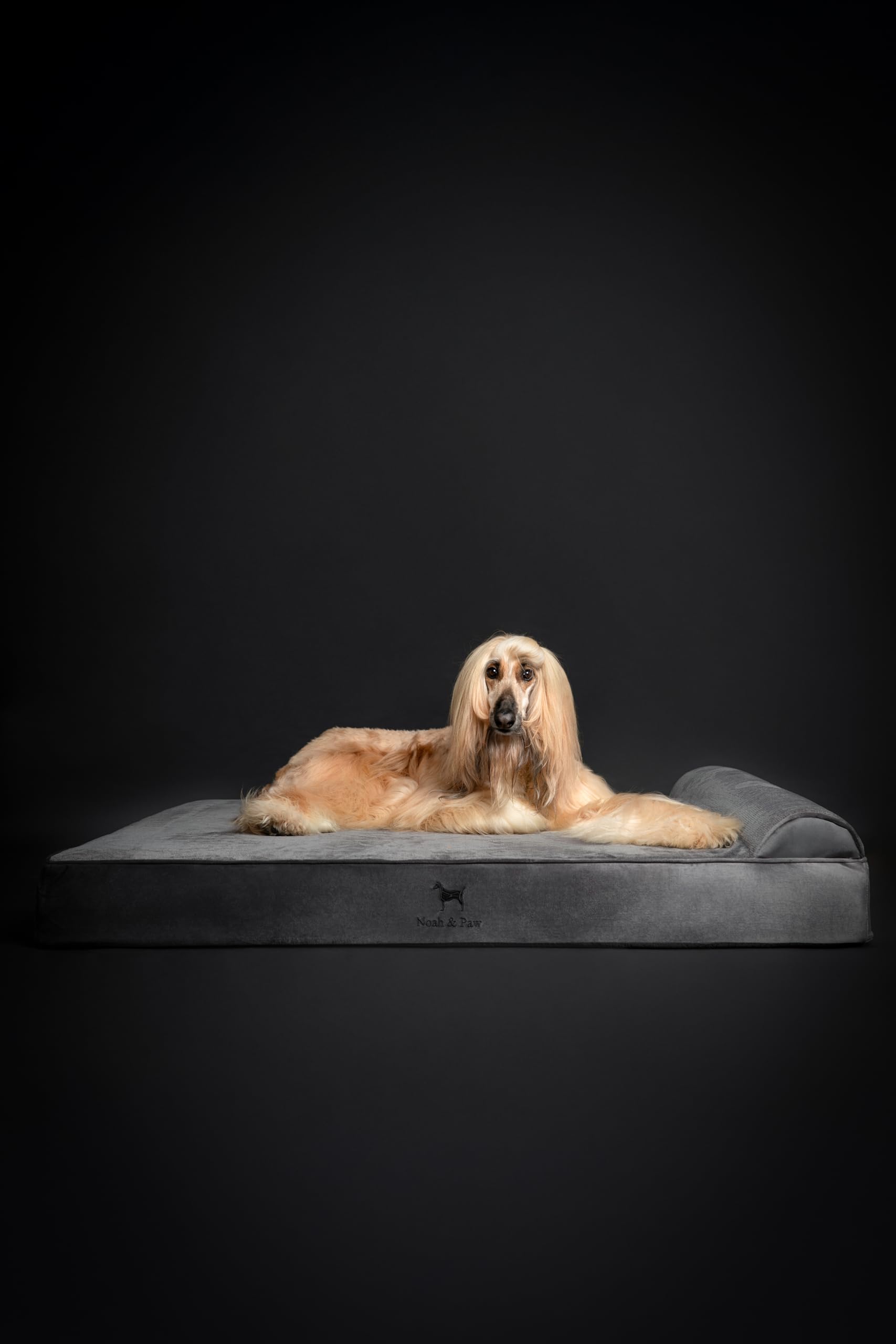 NOAH & PAW Giant Dog Bed XXL 55x45x11 Inch, Orthopedic Dog Beds, Eggshell Memory Foam Infused with Cooling Gel, Waterproof, Machine Washable, Includes Inner Cover (Velvet Collection)