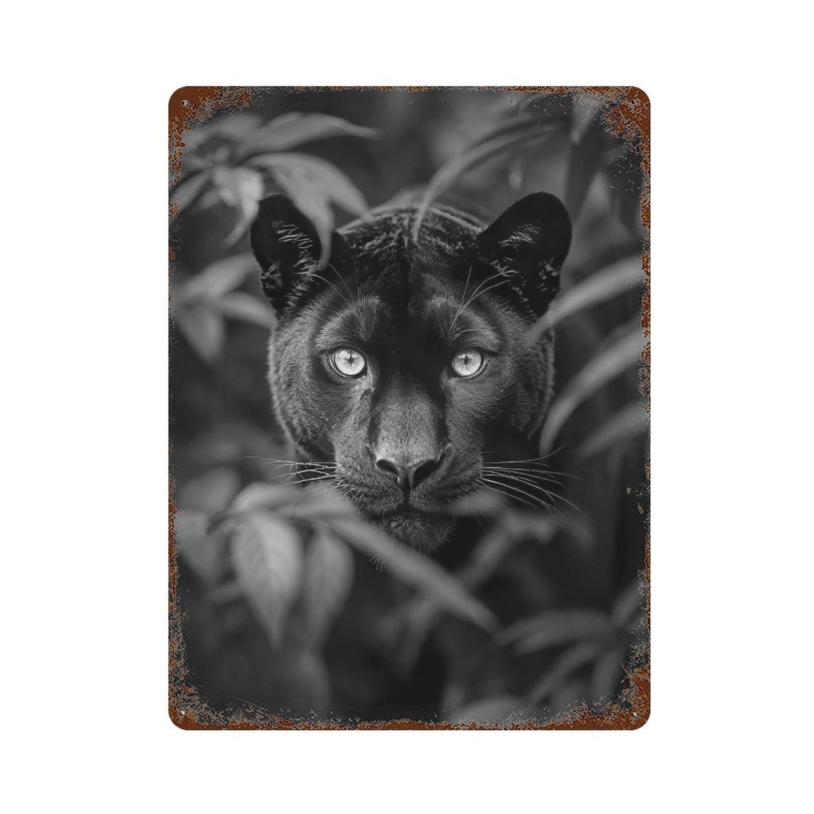 xiaoxiaoshen Black Panther in Forest Print Wall Decor Art Metal Tin Poster Modern Home Decor Art Home Bar Shop Decorations Vintage Sign 40x30cm