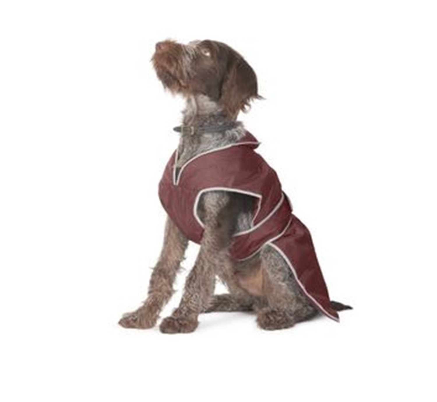 Ancol Dog Coat Muddy Paws Stormguard Spice Small