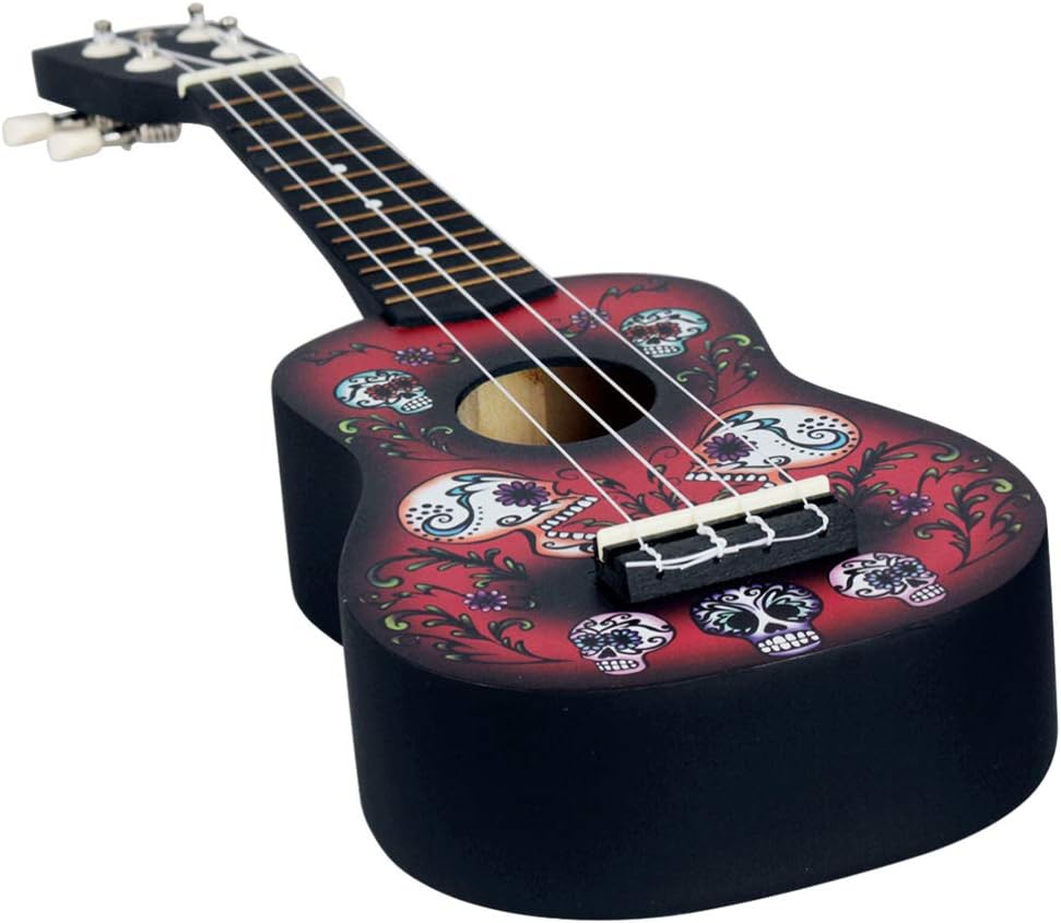 chitarra starter per adulti