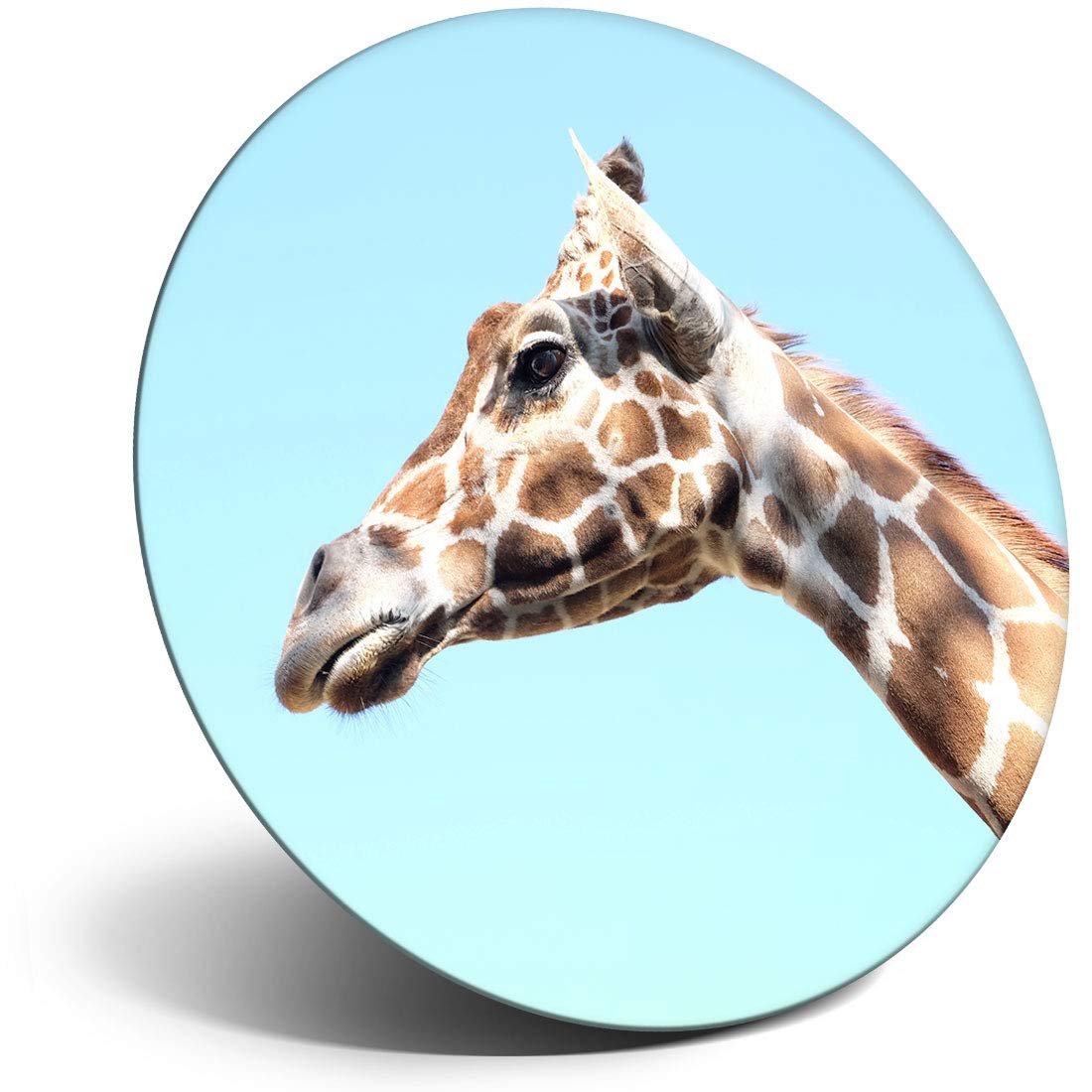Destination Vinyl ltd Magnet for Refrigerator, Fridge - Giraffe Head Wild African Animals for Office, Cabinet and Whiteboard, Magnetic Stickers, 21596