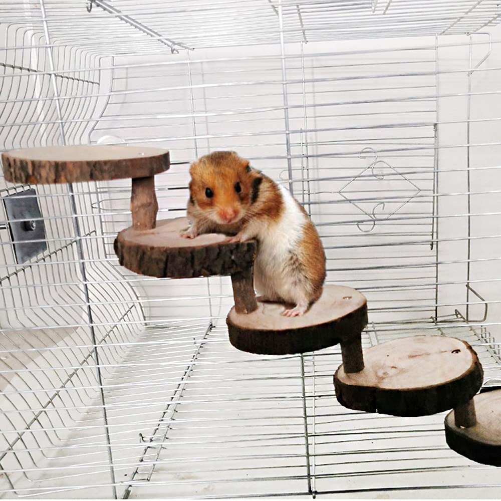 Piattaforma In Legno Per Criceti Con Scala - Gioco Per Piccoli Animali, 28x17x13.5 Cm