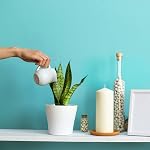 Plastic Planter, Chetexus 5.5 inch Flower Pot Indoor Modern Decorative Plastic Pots for Plants with Drainage Hole and Tray for All House Plants, Succulents, Flowers, and Cactus (8 clors)