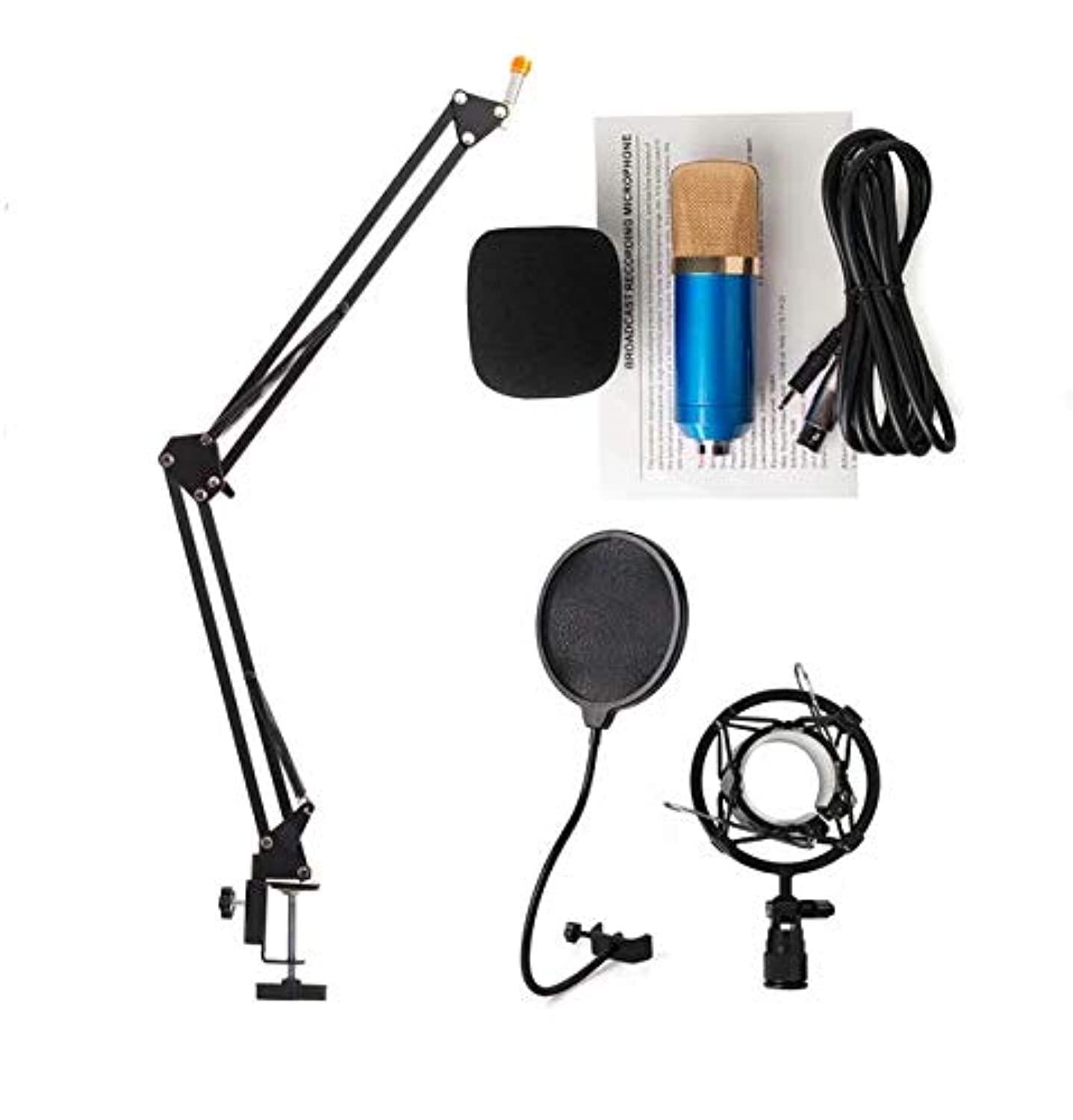 Beauenty Audio Sound Recording Condenser Studio Microphone BM700 Kit Mic Wind Screen Pop Filter Fold Stand Holder for Singing