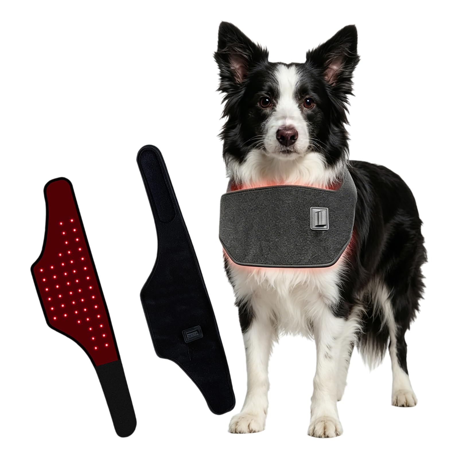FXNFXLA Infrared Red Light Therapy, LED Dog Red Light Therapy Belt