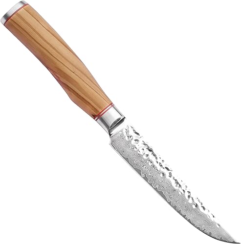 Miniatura 3 de YOUSUNLONG Juego de cubiertos para 2 piezas, hoja de acero de damasco martillado japonés, juego de cuchillos y tenedores para carne, mango de madera