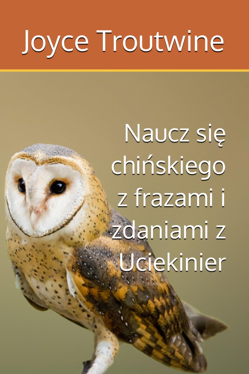 Naucz się chińskiego z frazami i zdaniami z Uciekinier
