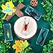 Maitys 4 Pcs Insect Specimen Bugs Collection Paperweights Preserved Insects in Resin Dead Animal Science Toys for Biology Preschool Science Kit Teacher School Display Discovery Supplies, 4 Styles