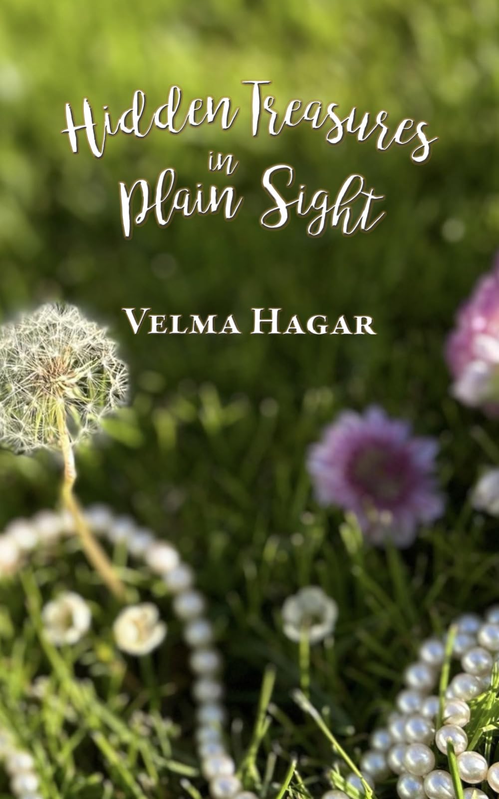 Hidden Treasures in Plain Sight: A book of inspiration and encouragement