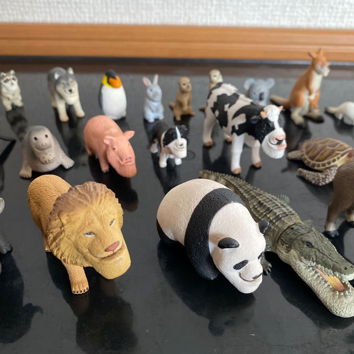 Amazon.co.jp: シャクレルプラネットコンプリート : おもちゃ