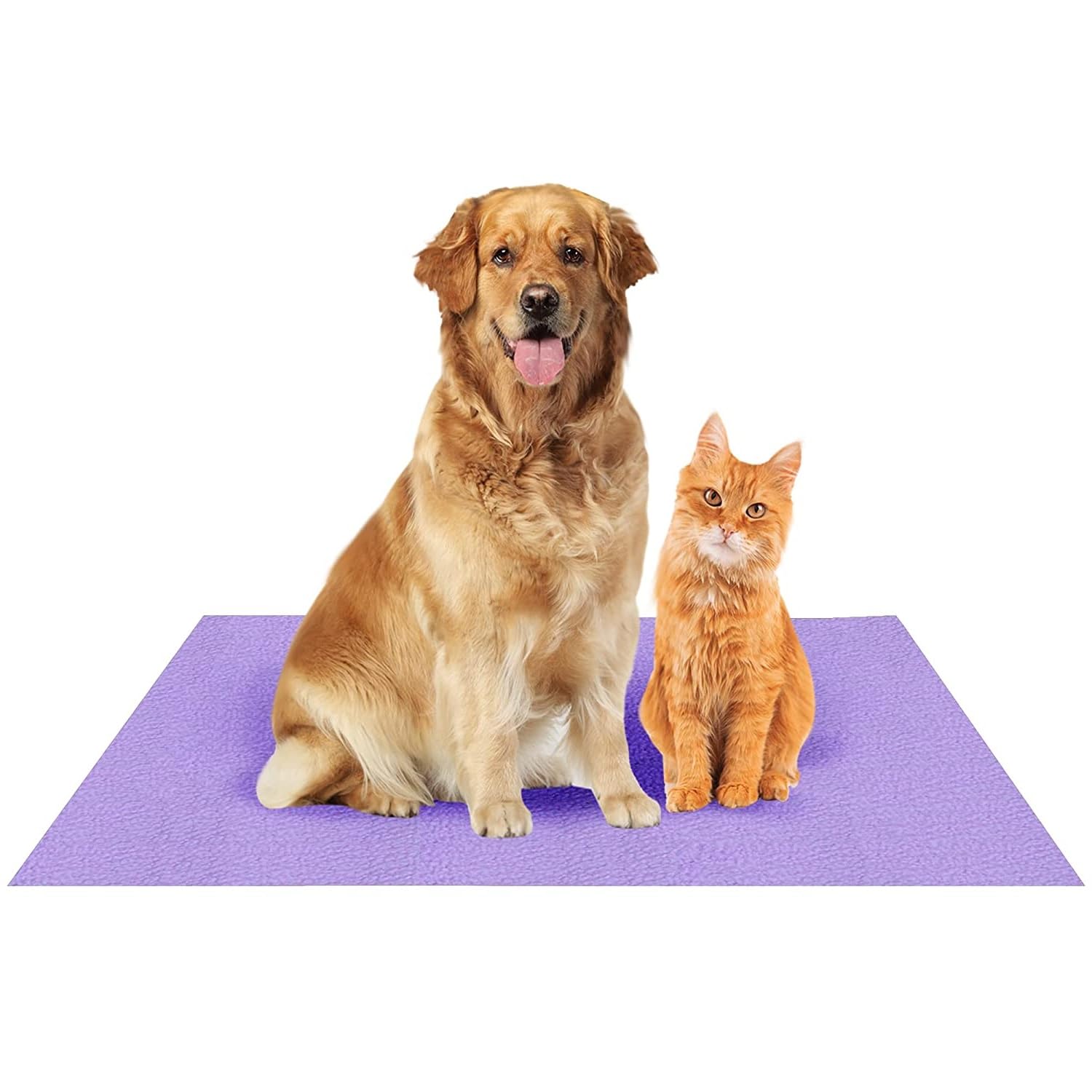 Fancy Dress Factory Waterproof Reusable Washable Pee Pads for Dogs | High Absorption Puppy Training (B0CCRGZMB5) Amazon Price History, Amazon Price Tracker