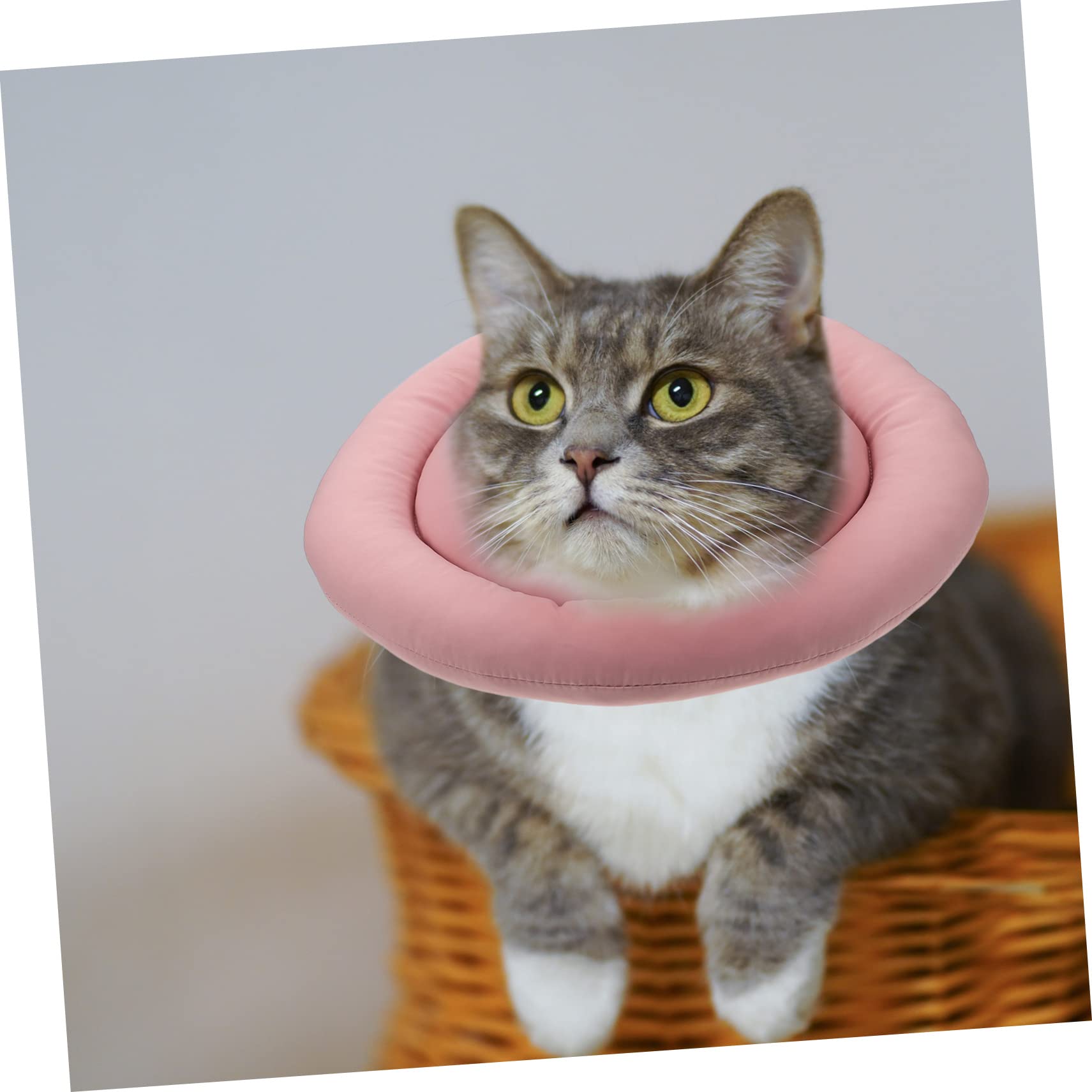 INOOMP 3pezzi Collare Protettivo Per Gatti Collare Di Per Cani e Gatti Comodo Per Post-operazione e Ferite Non Ostacola La Vista Facile Da Indossare
