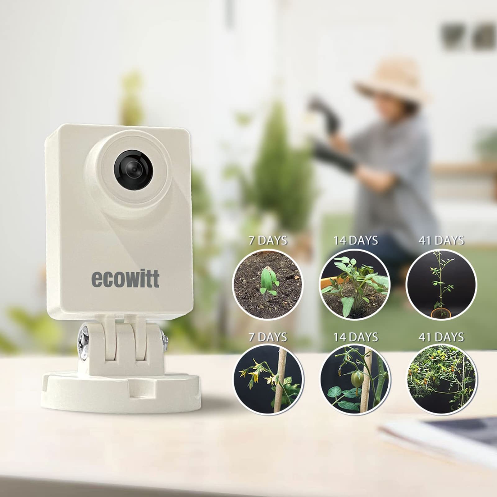 ECOWITT WittCam Kamera zewnętrzna HP10, wewnętrzna i zewnętrzna kamera podłączona do sieci Wi-Fi IP66, wodoodporność FOV150°, szeroki kąt / 2 miliony pikseli, serwer pomocniczy, fotografia poklatkowa