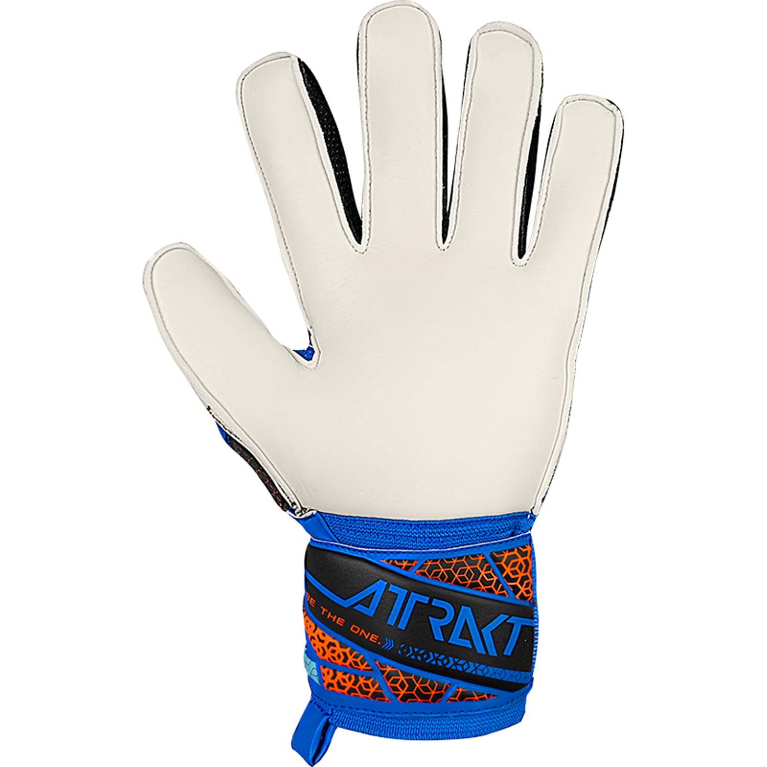 Reuch Attract Solid Soccer Keeper Gloves Keite 25SS [5560515-4467] [4467] Blue 8 5560515