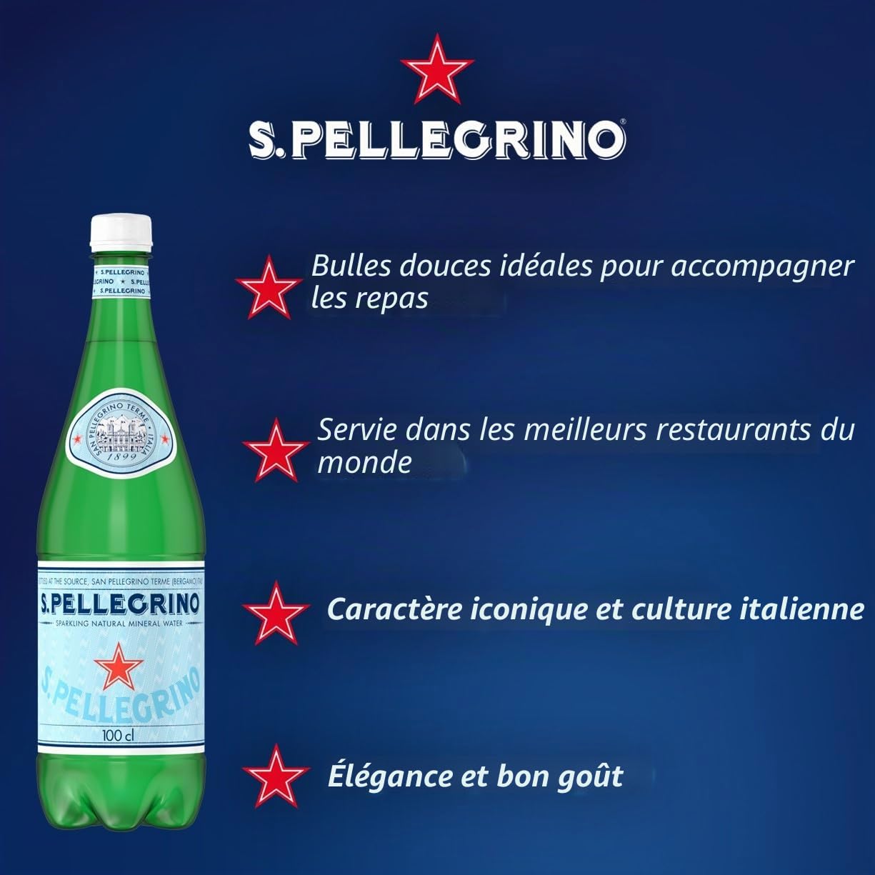 S. Pellegrino Eau minérale naturelle avec gaz 4 paquets de 6 x 50 cl 24 bouteilles