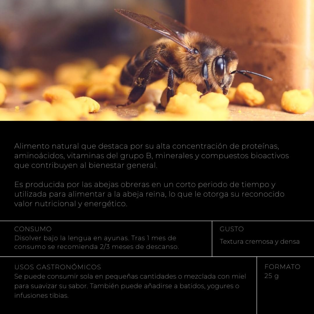 Eria de Valles Gelée Royale frisch, 100 % natürlich, 25 g, rein, ohne Konservierungsstoffe und in Kühlbox, mit Messlöffel, Energie und Vitalität, täglicher Verzehr, im Kühlschrank aufbewahren