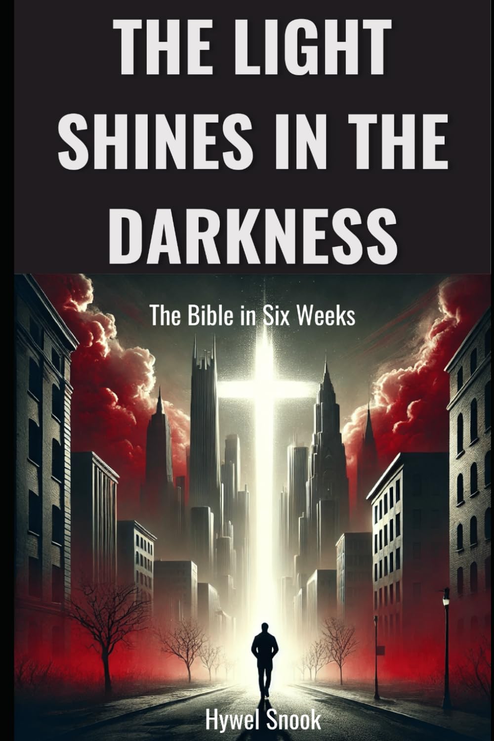 The Light Shines in the Darkness: The Bible in Six Weeks