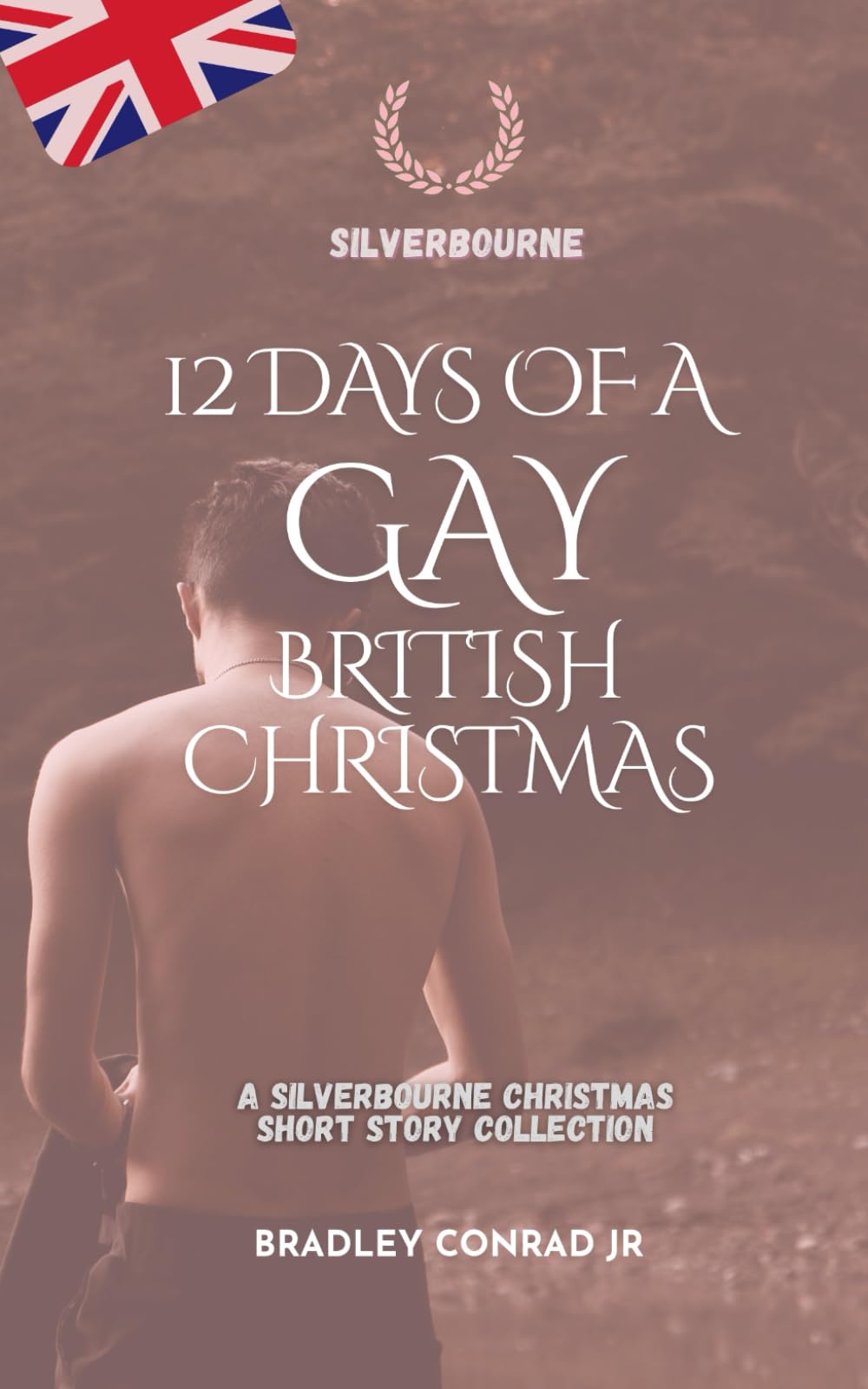 Silverbourne: 12 Days of a Gay British Christmas: A Silverbourne Christmas Short Story Collection (Silverbourne British Gay Romance)
