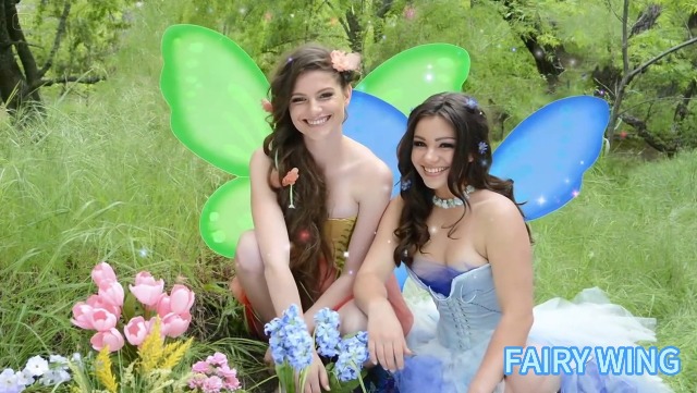 Alas de hada para niñas disfraz de mariposa miniatura 7
