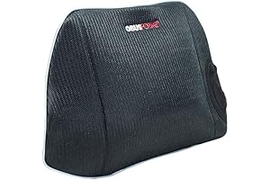 ObusForme CustomAir Lumbar Support Pillow
