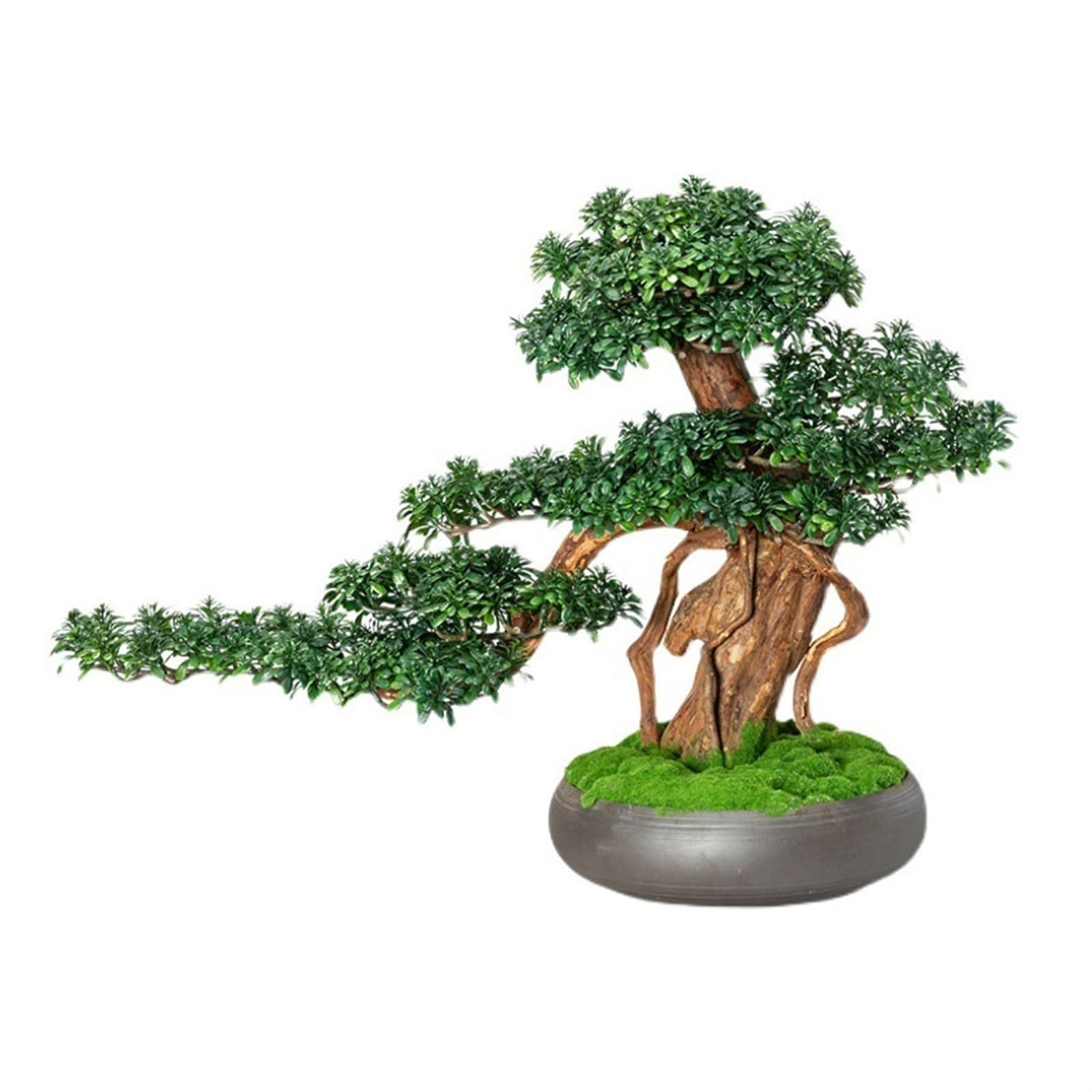 HCZKIUJY Bonsai Simulation Plant Bonsai Fake Pine Tree Chinese Ornaments Living Room Entrance Green Potted Plant Decorations Plant