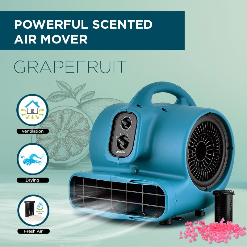 XPower Mighty Centrifugal Air Mover, Carpet Dryer, Floor Fan, Blower, Stackable, Daisy Chain, for Water Damage Restoration, Janitorial, Plumbing, Home Use (Blau, P-450T 1600CFM)